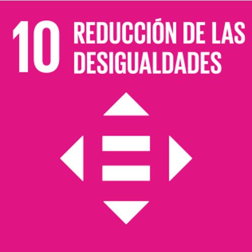 10 REDUCCION DE LAS DESIGUALDADES