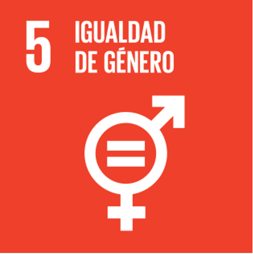 5 IGUALDAD DE GENERO